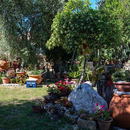 Villa Macchione Mattinata Esterno foto