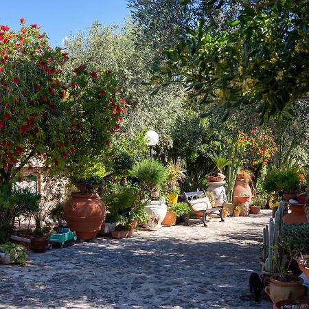Villa Macchione Mattinata Esterno foto