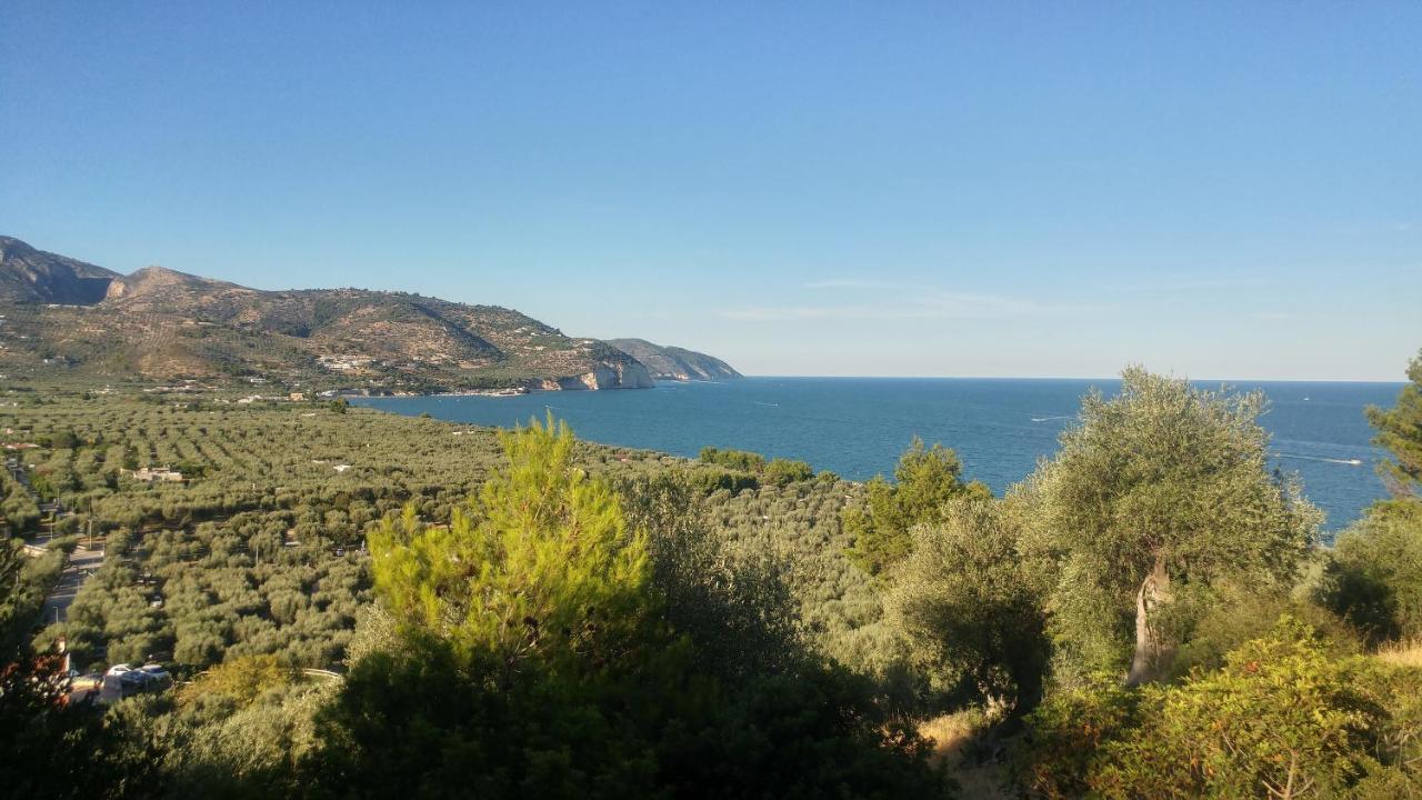Villa Macchione Mattinata Esterno foto