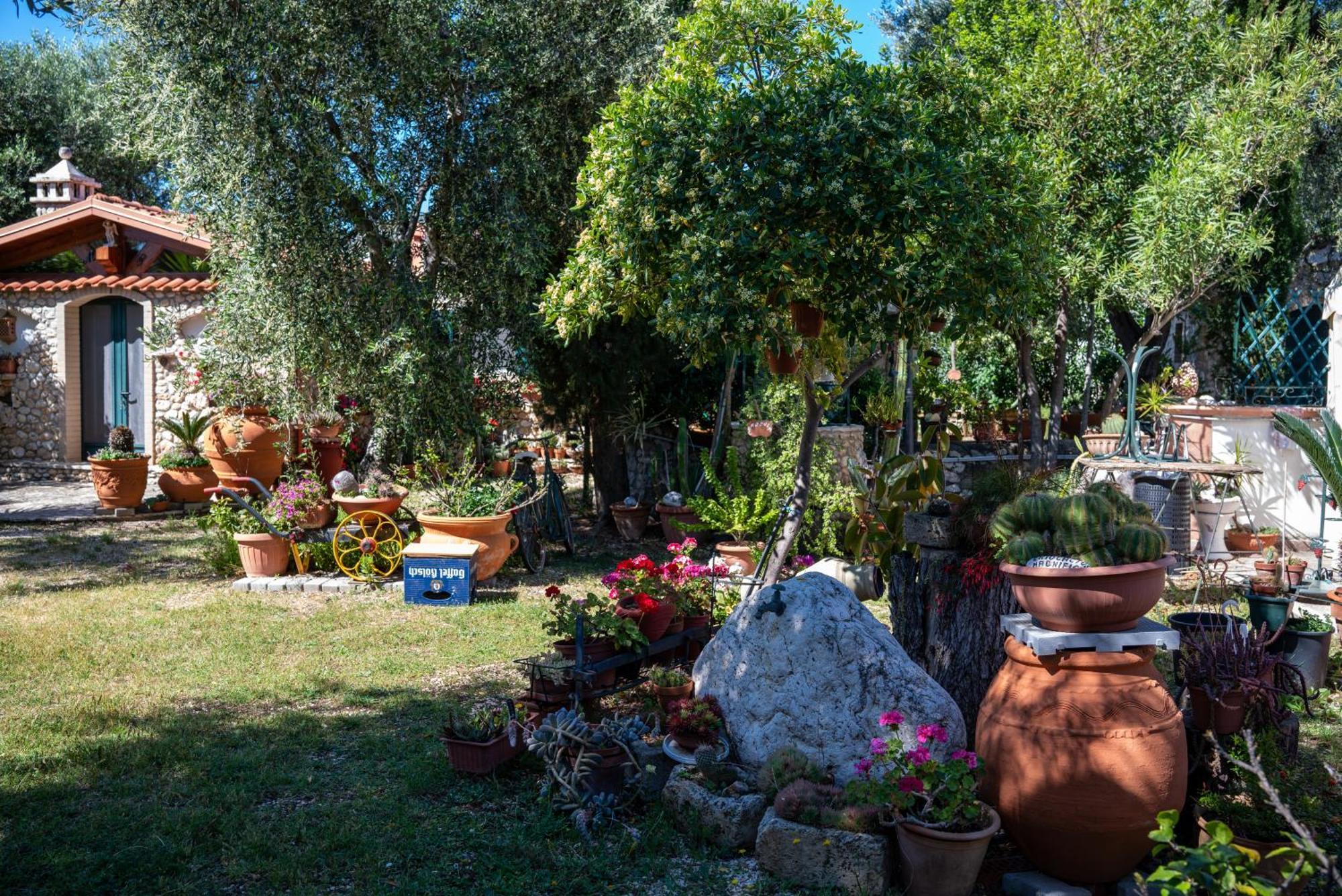 Villa Macchione Mattinata Esterno foto