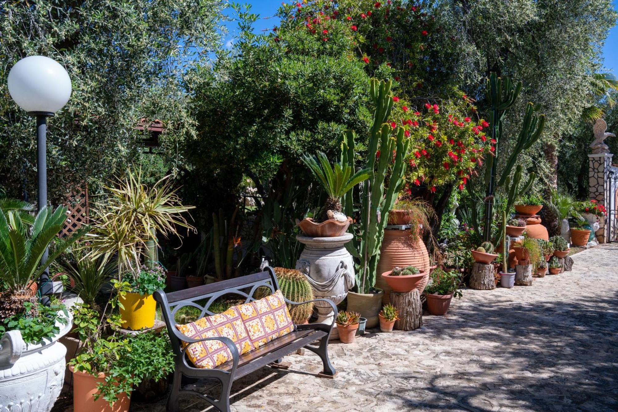 Villa Macchione Mattinata Esterno foto