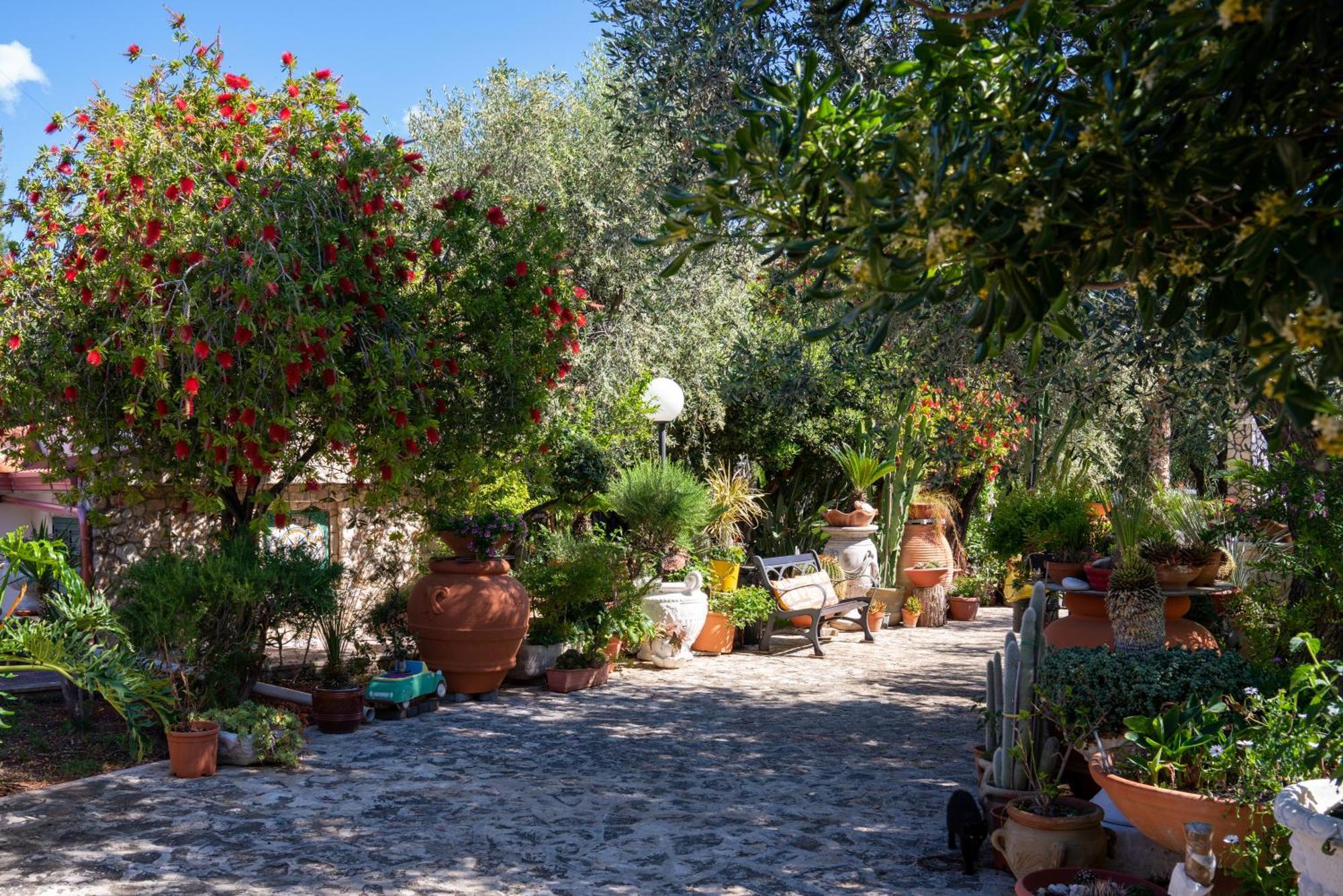 Villa Macchione Mattinata Esterno foto